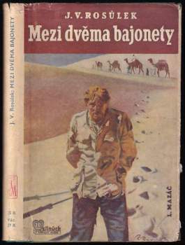 Jan Václav Rosůlek: Mezi dvěma bajonety