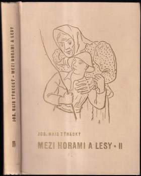 Mezi horami a lesy
