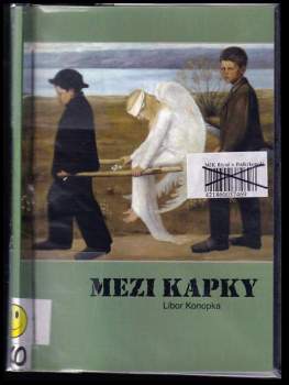 Mezi kapky