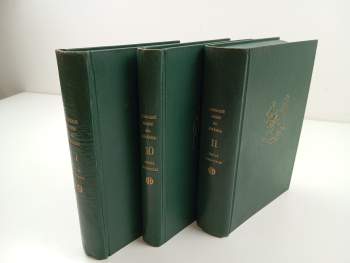 Alois Jirásek: Mezi proudy  1-3