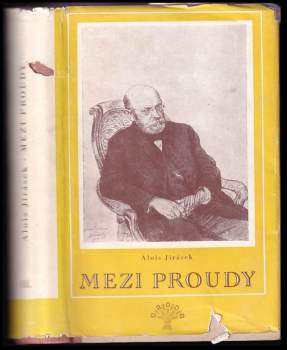 Mezi proudy
