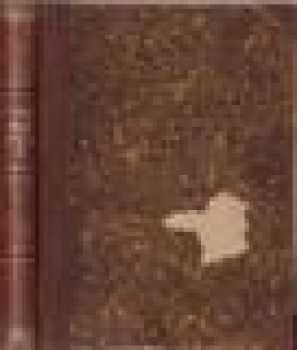 Alois Jirásek: Mezi proudy