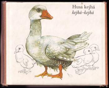 Dušan Roll: Mezi ptáky