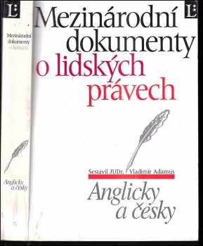 Mezinárodní dokumenty o lidských právech : anglicky a česky