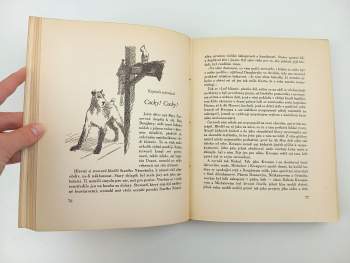 Jack London: Michal, bratr Jerryho