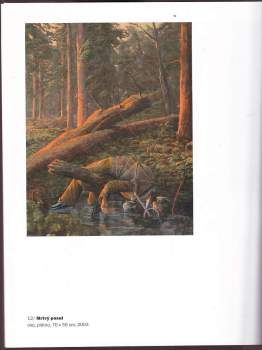 Michal Burget: Michal Burget