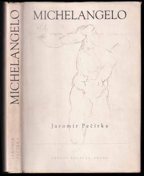 Michelangelo Buonarroti