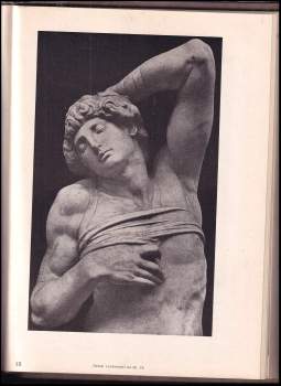 Romain Rolland: Michelangelo Buonarroti