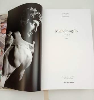 Frank Zöllner: Michelangelo