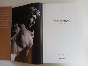 Frank Zöllner: Michelangelo