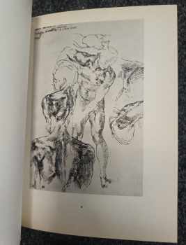 Michelangelo Buonarroti: Michelangelo