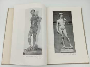 Michelangelo Buonarroti: Michelangelo