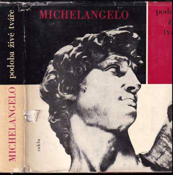 Michelangelo