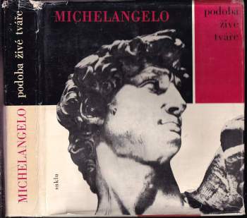 Michelangelo Buonarroti: Michelangelo