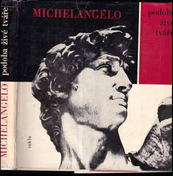 Michelangelo Buonarroti: Michelangelo