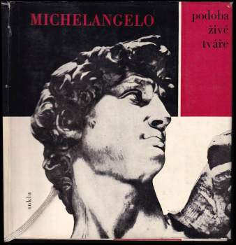 Michelangelo