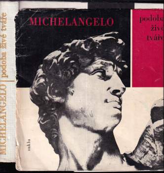 Michelangelo : podoba živé tváře : básně, dopisy a dokumenty