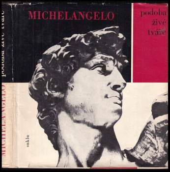 Michelangelo
