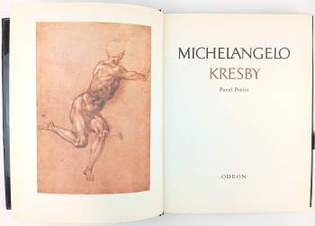 Michelangelo Buonarroti: Michelangelo