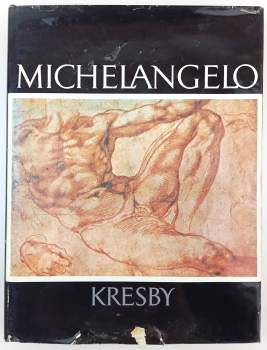 Michelangelo