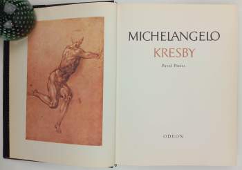 Michelangelo Buonarroti: Michelangelo