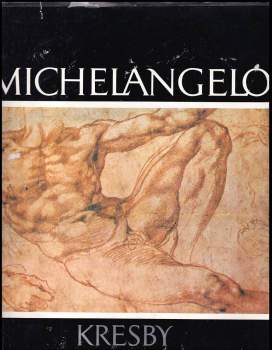 Michelangelo