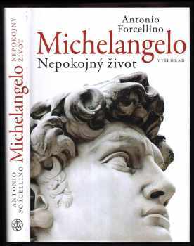Michelangelo : nepokojný život