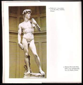 Oldřich J Blažíček: Michelangelo