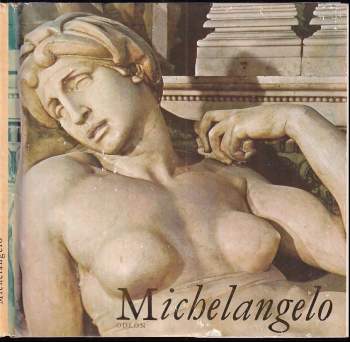 Michelangelo : Obrázková monografia