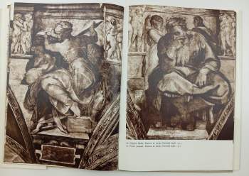 Vojtěch Volavka: Michelangelo