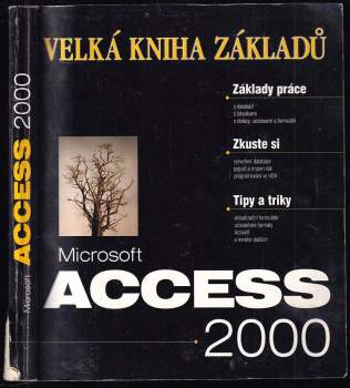 Jan Pokorný: Microsoft Access 2000