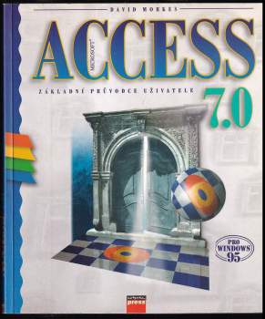 Microsoft Access 7.0