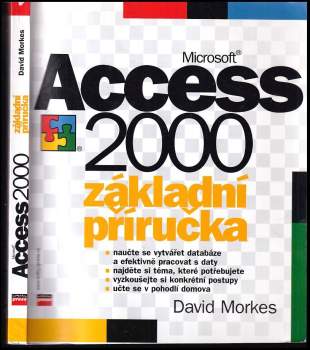 Microsoft Access CZ 2000 : základní příručka
