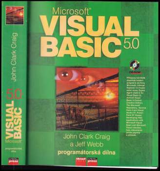 Microsoft Visual Basic 5.0