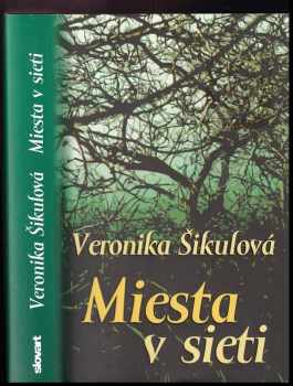 Miesta v sieti