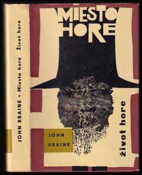 Miesto hore