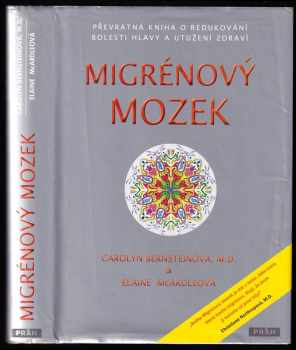Migrénový mozek