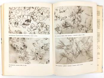 Rudolf Rost: Mikrochemické určování nerostů