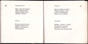 Václav Kubín: Mikrokaleidoskop