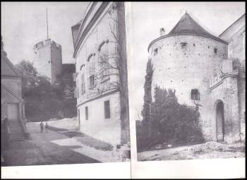 Metoděj Zemek: Mikulov ve fotografii