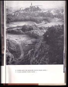 Metoděj Zemek: Mikulov