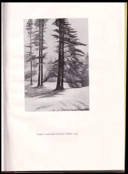 Josef Richard Marek: Mila Beránek