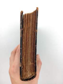 Guy de Maupassant: Miláček