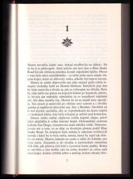 Diane Chamberlain: Milenci a cizinci