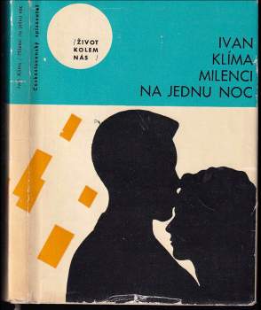 Milenci na jednu noc