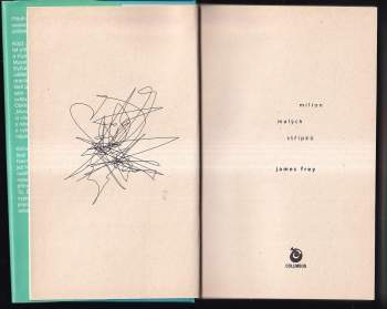 James Frey: Milion malých střípků