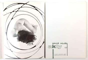 Jiří Havel: Miloš Vojíř - Akty