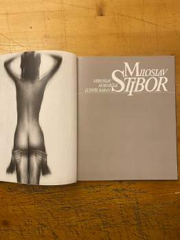 Miloslav Stibor