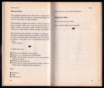 Deborah McKinlay: Milostné lži