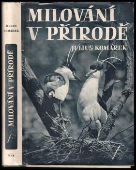 Milování v přírodě